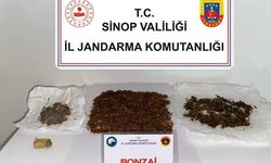 Sinop’ta bonzai maddesi ele geçirildi