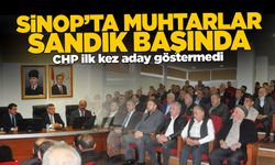 Sinop'ta muhtarlar sandığa gitti: İşte yeni encümen