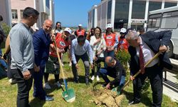 Yeşil Kampüs projesiyle fidanlar toprakla buluştu