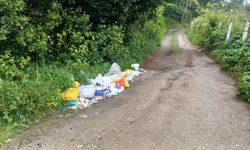 Sinop’ta yol kenarına bırakılan inşaat atıkları tepki çekiyor