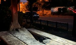Parktaki kamelyalara zarar verildi