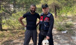 Arama köpeği Aba operasyonunun yıldızı oldu