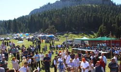 İlçe halkı "Piknik Festivali"nde bir araya geldi