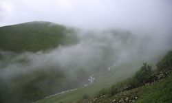 "20. Dağ Horozu Şenliği" düzenlendi