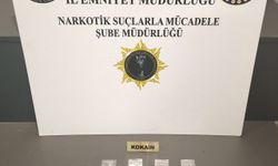 Samsun'da narkotik operasyonu: 2 gözaltı