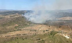 Ormanlık alanda yangına havadan ve karadan müdahale