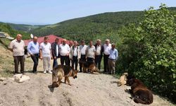 Samsun'da muhtar ve mahalleliden izinsiz oluşturulan köpek barınağına tepki