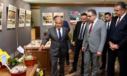 Tarım ve Orman Bakan Yardımcısı Ordu'da