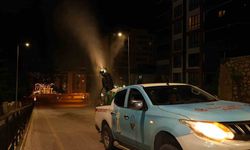 Tokat’ta haşereler mücadelesi başladı