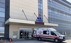 Üzerine kurban devrilen kadın ağır yaralandı