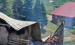 Yayla evinde yangın çıktı
