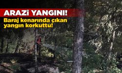 Yangında ağaçlık alan zarar gördü