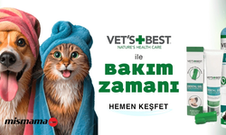 Sağlıklı ve Mutlu Dostlar İçin En Doğru Evcil Hayvan Ürünleri Seçimler