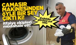 Sinop’ta çamaşır makinesinden öyle bir şey çıktı ki…