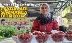 Dağ çileği tezgahlarda yerini aldı