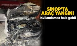 Park halindeki otomobil alevlere teslim oldu