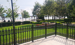 PLASTİK FERFORJE ÇİT VE MEVSİMLİK ÇİÇEK ALIMI