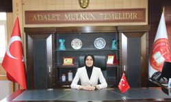 Sinop Ağır Ceza Mahkemesi'ne yeni başkan atandı