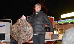 Kalkan balığı av yasağı sona erdi
