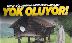 Sinop'un mühendislik harikası mirası yok oluyor!