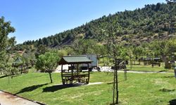 SİNOP MİLLET ORMANI KONAKLAMASIZ ORMAN PARKI İŞLETME HAKKININ KİRAYA VERİLMESİ