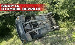 Sinop'ta otomobil ağaçlık alana devrildi
