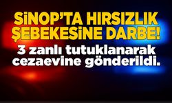Sinop’ta hırsızlık şebekesine darbe