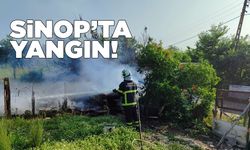 Sinop’ta odun deposunda yangın
