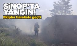 Sinop’ta arazi yangını: Ekiplerden hızlı müdahale