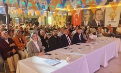 AK Parti, Sinop’ta teşkilat üyelerine liderlik eğitimi verdi