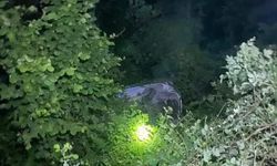 Sinop'ta devrilen otomobildeki 2 kişi yaralandı