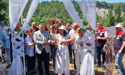 Sinop turizminde lavanta rüzgarı