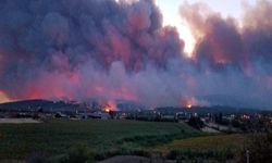 11 orman işçisi hayatını kaybetti