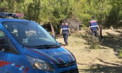 Sinop’ta jandarma, orman yangınlarına karşı teyakkuzda
