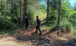 Sinop’ta jandarmadan orman devriyesi