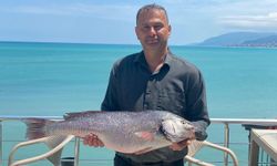 6,5 kilogramlık beyaz kötek balığı ağa takıldı
