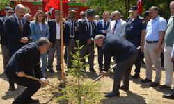 Sinop'ta 15 Temmuz şehidinin adı hatıra ormanında yaşatılıyor