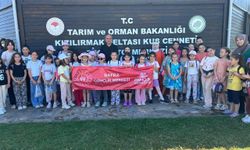 Bafra'da Kur'an kursları devam ediyor