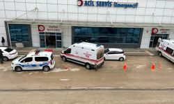 Sinop'ta balkondan düşen kadın hayatını kaybetti