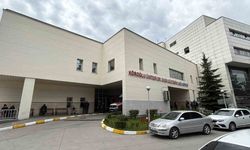 77 yaşındaki kadın kene ısırması sonucu hayatını kaybetti