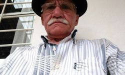 Arı sokması can kaybıyla sonuçlandı