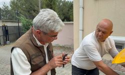 Doğada bitkin halde bulunan ebabil kuşu tedavi altına alındı