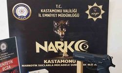 Kastamonu’da narkotik operasyonu: 1 gözaltı