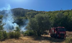 Kastamonu’da ormanlık alanda yangın