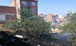 Ot yangını kontrol altına alındı