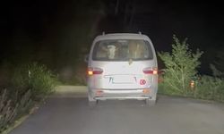 Yangında mahsur kalan hayvanlar tahliye edildi