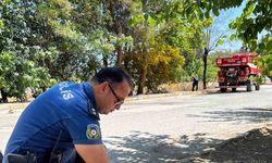 Yanmak üzere olan kaplumbağayı son anda kurtardı