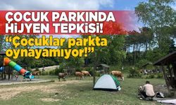 Çocuk parkında hijyen sorununa tepki gösterildi