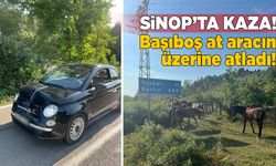 Sinop’ta başıboş at aracın üzerine atladı!