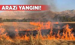 Arazide çıkan yangın ekipleri harekete geçirdi